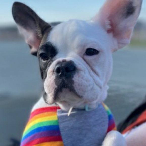 Meet your Posher, Lori - Picture 3 of 3